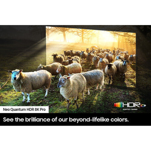 Samsung QN900C 65" 8K HDR Smart Neo QLED Mini-LED TV QN65QN900CFXZA