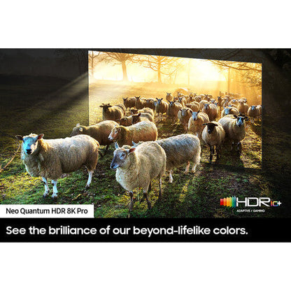 Samsung QN900C 65" 8K HDR Smart Neo QLED Mini-LED TV QN65QN900CFXZA